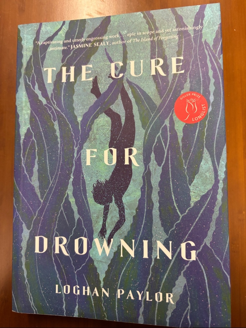 Mix & Match 4/$30 "The Cure for Drowning" by Loghan Paylor